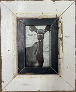 Reclaimed wood frame for picture size A6 Rectangle 1069