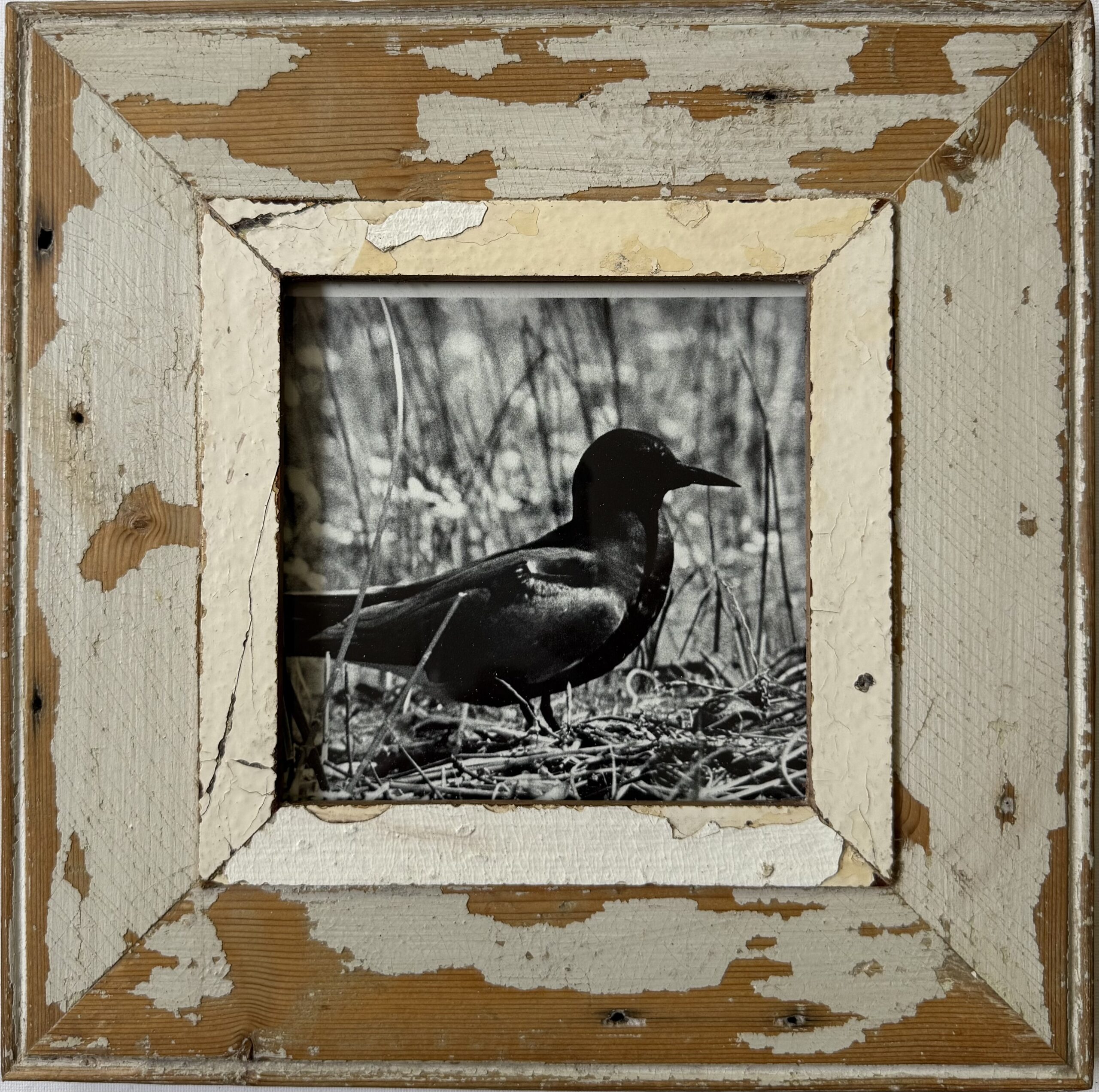 Reclaimed wood frame for picture size A5 Square 1779